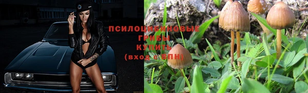 ешки Касимов