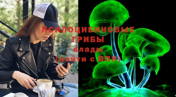 ешки Касимов