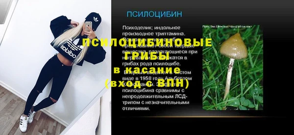 ешки Касимов