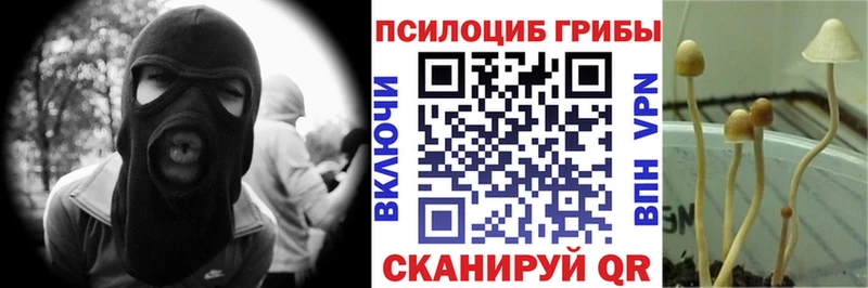 Галлюциногенные грибы Magic Shrooms  Купить  Зима 